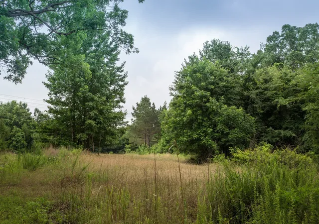 Photo 2 of Land for sale at 115 Baudy James Road, Cedar Grove, TN 38321 | MLS# 3527563 | Listing updated on 2026-08-27
