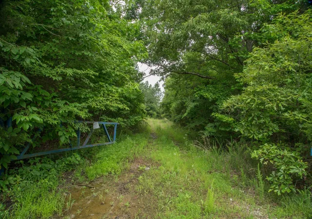 Photo 3 of Land for sale at 115 Baudy James Road, Cedar Grove, TN 38321 | MLS# 3527563 | Listing updated on 2026-08-27