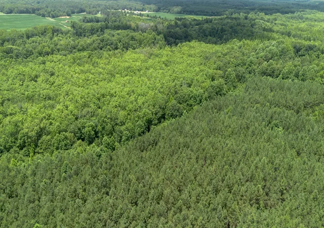 Photo 3 of Land for sale at 0 Smith Rd, Finger, TN 38334 | MLS# 3527571 | Listing updated on 2026-08-27
