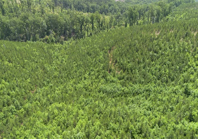 Photo 1 of Land for sale at 0 Low Gap Road, Sugar Tree, TN 38380 | MLS# 3527572 | Listing updated on 2026-08-27