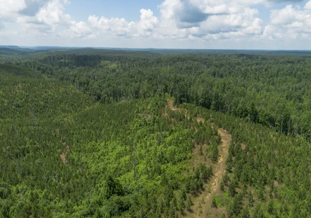 Photo 2 of Land for sale at 0 Low Gap Road, Sugar Tree, TN 38380 | MLS# 3527572 | Listing updated on 2026-08-27