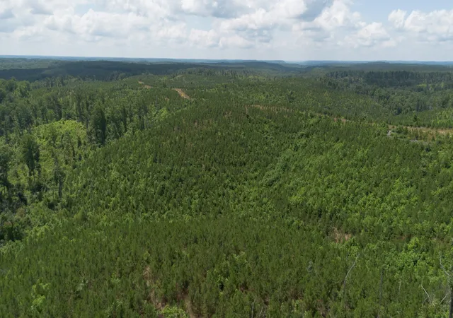 Photo 3 of Land for sale at 0 Low Gap Road, Sugar Tree, TN 38380 | MLS# 3527572 | Listing updated on 2026-08-27