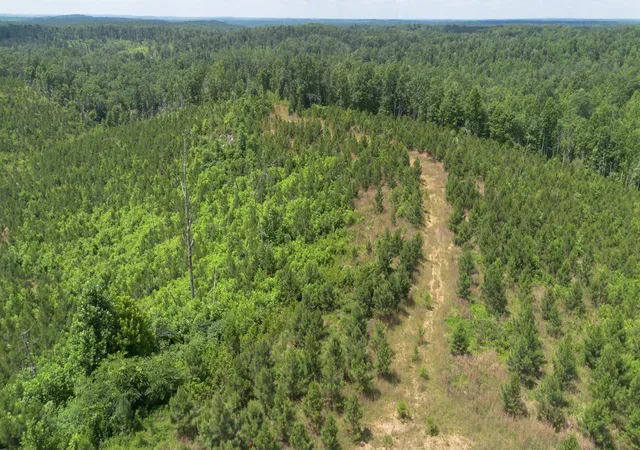 Photo 3 of Land for sale at 0 Low Gap Road, Sugar Tree, TN 38380 | MLS# 3527572 | Listing updated on 2026-08-27