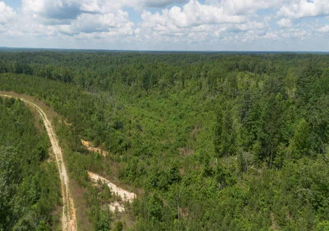 Photo 4 of Land for sale at 0 Low Gap Road, Sugar Tree, TN 38380 | MLS# 3527572 | Listing updated on 2026-08-27