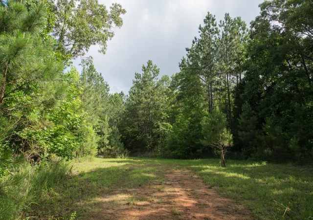 Photo 1 of Land for sale at 0 Old State Hwy 69, Sugar Tree, TN 38380 | MLS# 3527573 | Listing updated on 2026-08-27