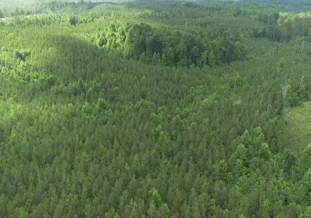 Photo 3 of Land for sale at 0 Old State Hwy 69, Sugar Tree, TN 38380 | MLS# 3527573 | Listing updated on 2026-08-27