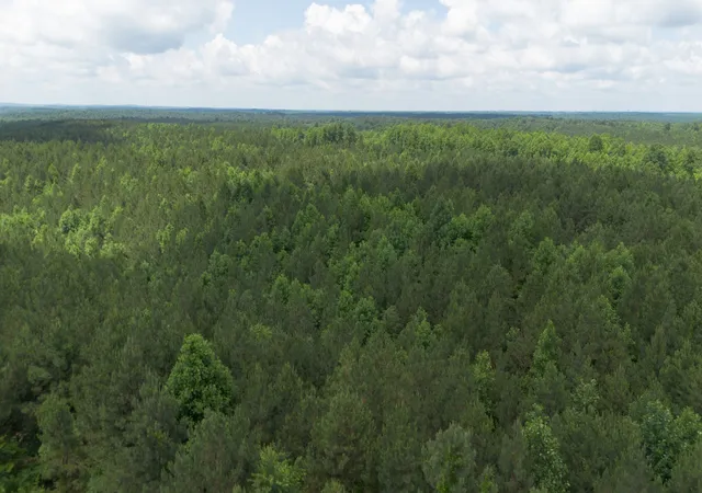 Photo 3 of Land for sale at 0 Old State Hwy 69, Sugar Tree, TN 38380 | MLS# 3527573 | Listing updated on 2026-08-27