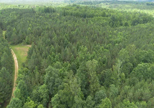 Photo 4 of Land for sale at 0 Old State Hwy 69, Sugar Tree, TN 38380 | MLS# 3527573 | Listing updated on 2026-08-27