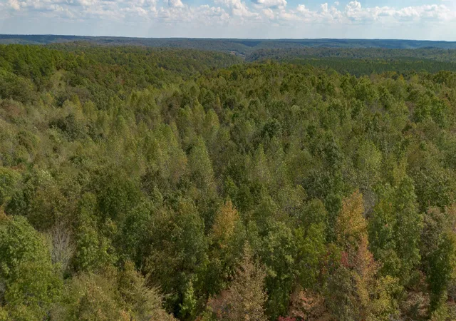 Photo 2 of Land for sale at 0 Mayfield Divide Rd, Centerville, TN 37033 | MLS# 3527617 | Listing updated on 2026-10-02