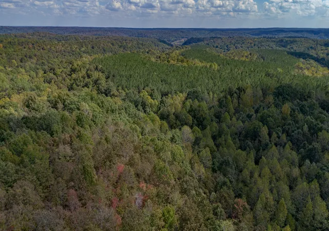 Photo 3 of Land for sale at 0 Mayfield Divide Rd, Centerville, TN 37033 | MLS# 3527617 | Listing updated on 2026-10-02