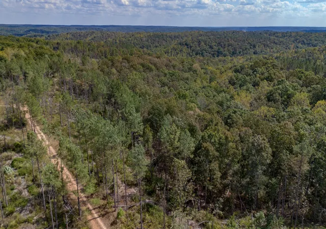 Photo 4 of Land for sale at 0 Mayfield Divide Rd, Centerville, TN 37033 | MLS# 3527617 | Listing updated on 2026-10-02