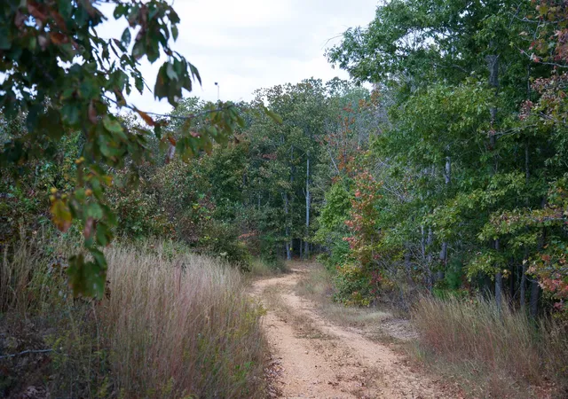 Photo 3 of Land for sale at 0 Mayfield Divide Rd, Centerville, TN 37033 | MLS# 3527617 | Listing updated on 2026-10-02