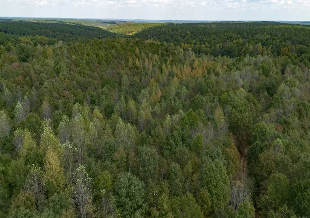 Photo 2 of Land for sale at 1353 Copperas Branch Rd, Centerville, TN 37033 | MLS# 3527679 | Listing updated on 2026-10-02