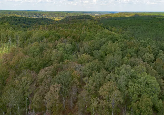 Photo 3 of Land for sale at 1353 Copperas Branch Rd, Centerville, TN 37033 | MLS# 3527679 | Listing updated on 2026-10-02