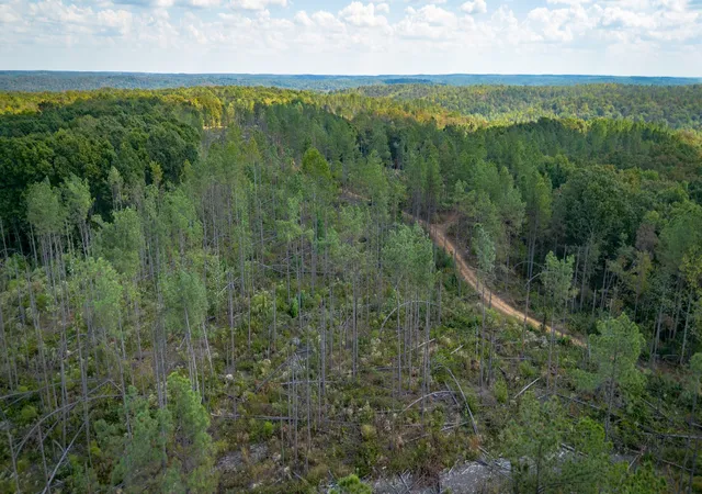 Photo 3 of Land for sale at 1353 Copperas Branch Rd, Centerville, TN 37033 | MLS# 3527679 | Listing updated on 2026-10-02