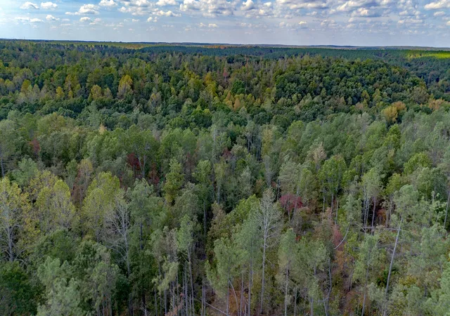 Photo 4 of Land for sale at 1353 Copperas Branch Rd, Centerville, TN 37033 | MLS# 3527679 | Listing updated on 2026-10-02