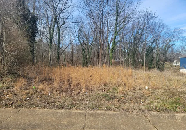 Photo 2 of Land for sale at 181 Valley Oak Dr, Buchanan, TN 38222 | MLS# 3527688 | Listing updated on 2026-08-27