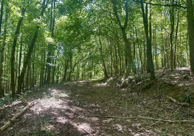Land for sale at 7721 Wayland Springs Rd, Iron City, TN 38463 | MLS# 3531021