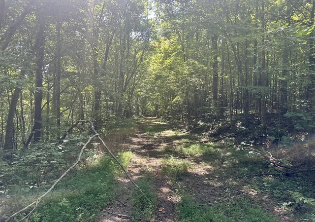 Photo 2 of Land for sale at 7721 Wayland Springs Rd, Iron City, TN 38463 | MLS# 3531021 | Listing updated on 2026-09-02