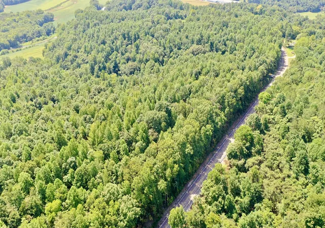 Photo 3 of Land for sale at 7721 Wayland Springs Rd, Iron City, TN 38463 | MLS# 3531021 | Listing updated on 2026-09-02