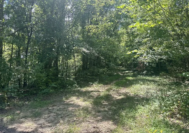Photo 3 of Land for sale at 7721 Wayland Springs Rd, Iron City, TN 38463 | MLS# 3531021 | Listing updated on 2026-09-02