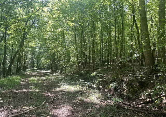 Photo 4 of Land for sale at 7721 Wayland Springs Rd, Iron City, TN 38463 | MLS# 3531021 | Listing updated on 2026-09-02