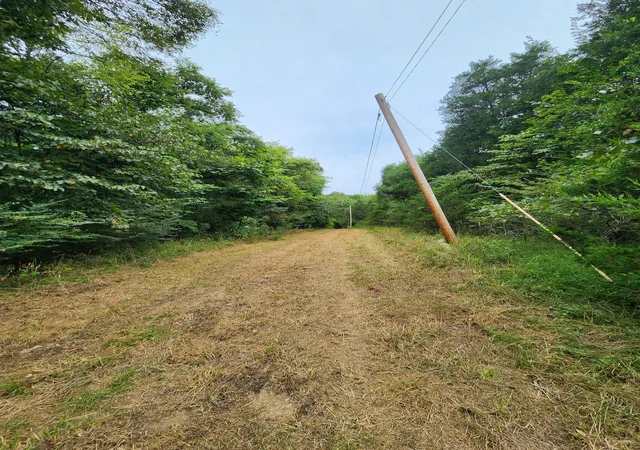 Photo 2 of Land for sale at 2754 Scribners Mill Rd, Culleoka, TN 38451 | MLS# 3527756 | Listing updated on 2026-10-07