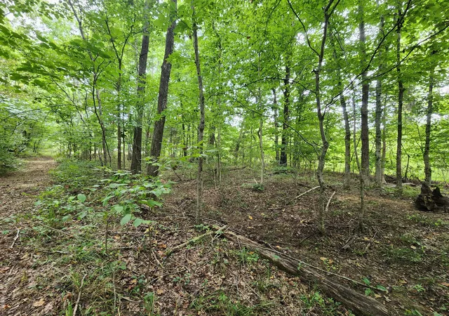 Photo 4 of Land for sale at 2754 Scribners Mill Rd, Culleoka, TN 38451 | MLS# 3527756 | Listing updated on 2026-10-07
