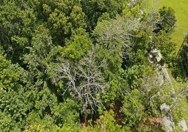 Photo 4 of Land for sale at 6131 Old Hickory Blvd, Whites Creek, TN 37189 | MLS# 3603092 | Listing updated on 2026-10-05