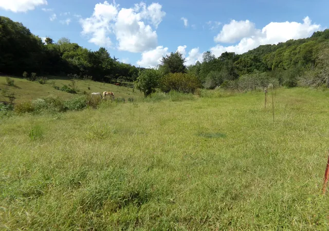Photo 1 of Land for sale at 2966 Monte Murrey Rd, Lewisburg, TN 37091 | MLS# 3529610 | Listing updated on 2026-09-30