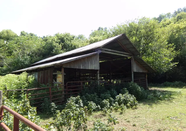 Photo 2 of Land for sale at 2966 Monte Murrey Rd, Lewisburg, TN 37091 | MLS# 3529610 | Listing updated on 2026-09-30