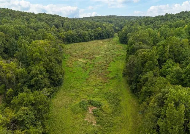 Photo 2 of Land for sale at 0 Little Blue Ck Rd, Mc Ewen, TN 37101 | MLS# 3529352 | Listing updated on 2026-08-31