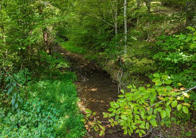 Photo 3 of Land for sale at 0 Little Blue Ck Rd, Mc Ewen, TN 37101 | MLS# 3529352 | Listing updated on 2026-08-31