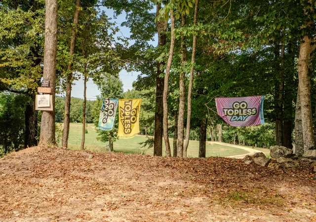 Land for sale at 9270 Last Butler Rd, Iron City, TN 38463 | MLS# 3528505
