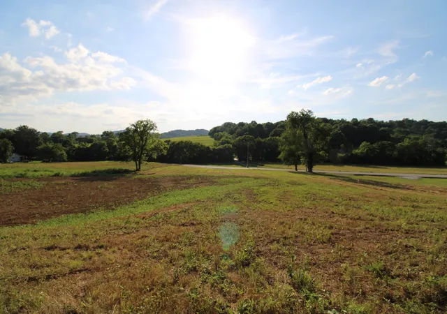 Photo 3 of Land for sale at 0 Hwy 141 N, Hartsville, TN 37074 | MLS# 3528028 | Listing updated on 2026-08-28