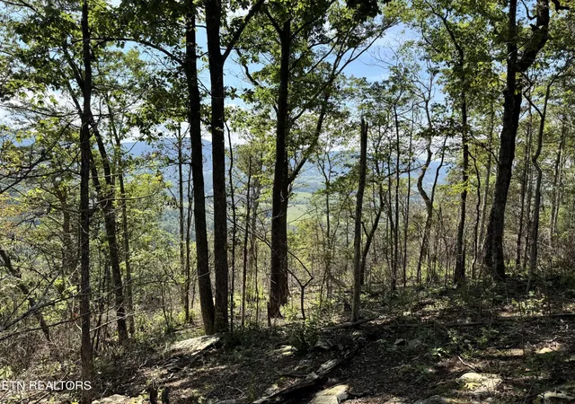 Photo 4 of Land for sale at 0 Soaring Eagle Rd, Crossville, TN 38572 | MLS# 3528027 | Listing updated on 2026-09-24