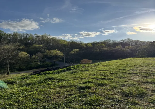 Photo 2 of Land for sale at 195 Hasty Hollow Rd, Lynchburg, TN 37352 | MLS# 3528052 | Listing updated on 2026-08-28