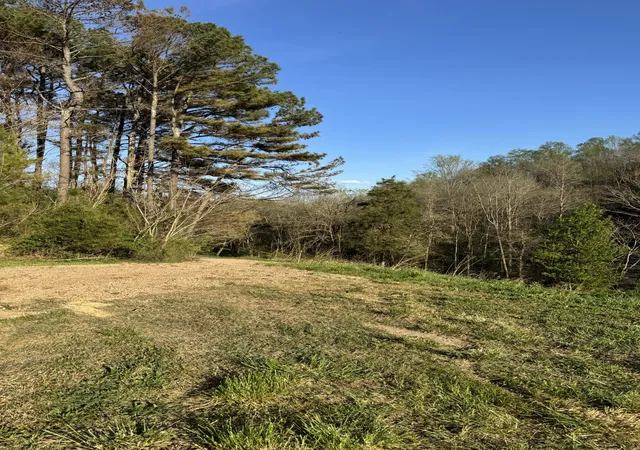 Photo 3 of Land for sale at 195 Hasty Hollow Rd, Lynchburg, TN 37352 | MLS# 3528052 | Listing updated on 2026-08-28