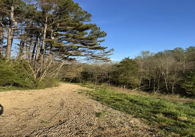 Photo 4 of Land for sale at 195 Hasty Hollow Rd, Lynchburg, TN 37352 | MLS# 3528052 | Listing updated on 2026-08-28