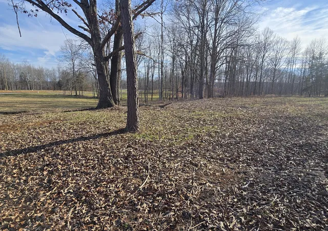 Photo 3 of Land for sale at 9510 Medlin Rd, Baxter, TN 38544 | MLS# 3530822 | Listing updated on 2026-09-01
