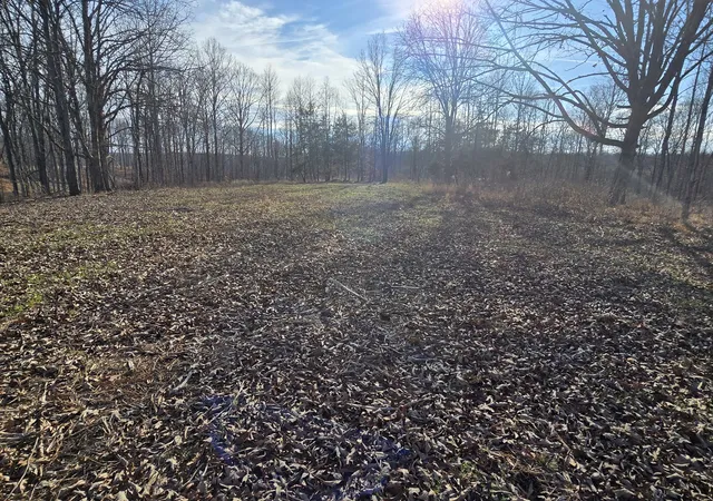 Photo 4 of Land for sale at 9510 Medlin Rd, Baxter, TN 38544 | MLS# 3530822 | Listing updated on 2026-09-01