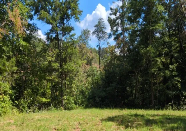Land for sale at 8400 Barren Fork Ln, Bon Aqua, TN 37025 | MLS# 3529122