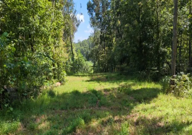 Photo 3 of Land for sale at 8400 Barren Fork Ln, Bon Aqua, TN 37025 | MLS# 3529122 | Listing updated on 2026-08-31