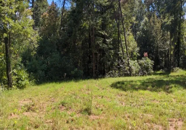 Photo 3 of Land for sale at 8400 Barren Fork Ln, Bon Aqua, TN 37025 | MLS# 3529122 | Listing updated on 2026-08-31