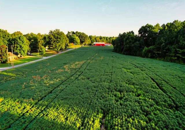 Photo 2 of Land for sale at 0 Compton Road, Athens, AL 35613 | MLS# 3528588 | Listing updated on 2026-08-28