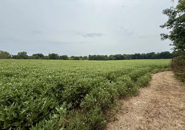 Photo 4 of Land for sale at 0 Compton Road, Athens, AL 35613 | MLS# 3528588 | Listing updated on 2026-08-28