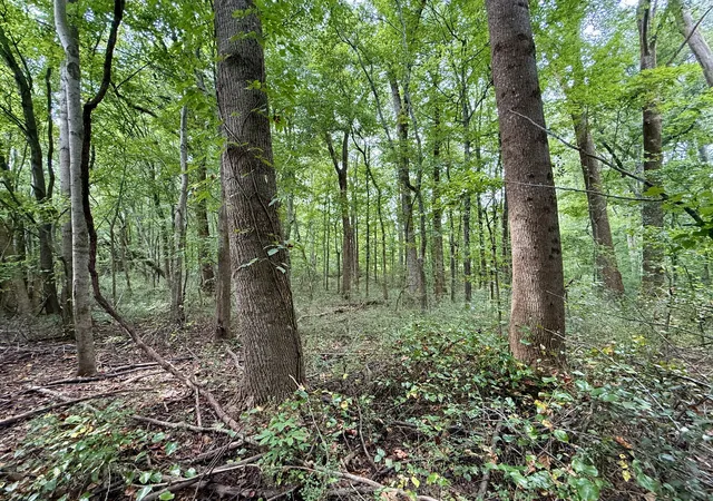 Photo 9 of Land for sale at 0 Compton Road, Athens, AL 35613 | MLS# 3528588 | Listing updated on 2026-08-28