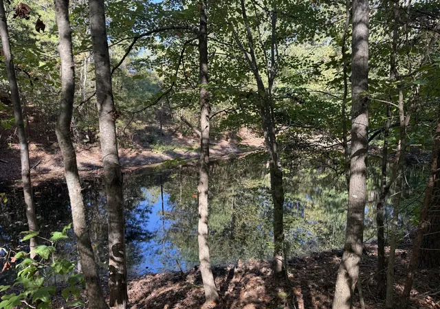 Photo 28 of Single family home for sale at 106 Shoal Creek Rd, Leoma, TN 38468 | MLS# 3528718 | Listing updated on 2026-10-05