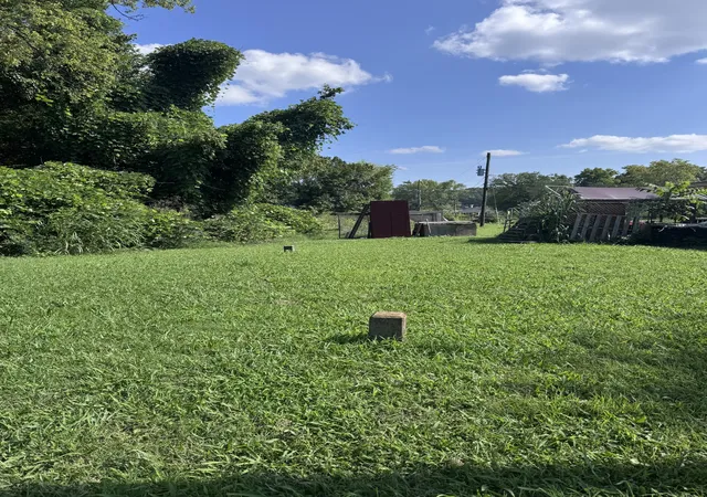 Photo 3 of Land for sale at 0 Weems Dr, Waverly, TN 37185 | MLS# 3528798 | Listing updated on 2026-08-28