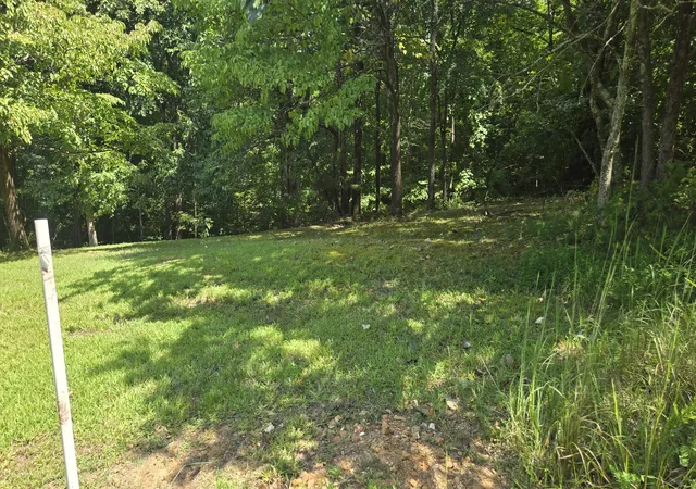 Photo 2 of Land for sale at 0 Big Ridge Rd, Indian Mound, TN 37079 | MLS# 3528871 | Listing updated on 2026-08-29